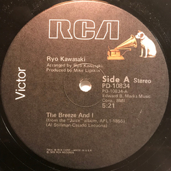 Ryo Kawasaki The Breeze And I Vinyl 12" USED