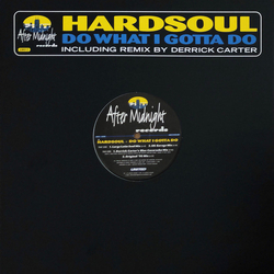 Hardsoul Do What I Gotta Do Vinyl 12" USED