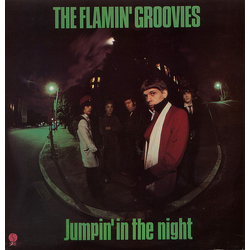 The Flamin' Groovies Jumpin' In The Night Vinyl LP USED