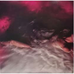 Hayley Williams Flowers For Vases / Descansos Vinyl LP USED