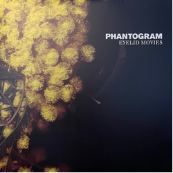 Phantogram Eyelid Movies Vinyl LP USED
