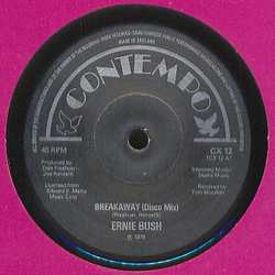 Ernie Bush / Banzaii Breakaway / Chinese Kung Fu Vinyl 12" USED