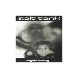 Salt Tank Angels Landing Vinyl 12" USED