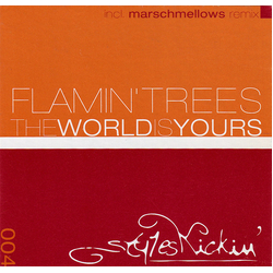 Flamin' Trees The World Is Yours Vinyl 12" USED