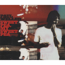 Paul Weller Sweet Pea, My Sweet Pea Vinyl 12" USED