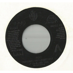 Zoë Sunshine On A Rainy Day Vinyl 7" USED