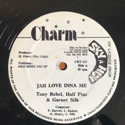 Tony Rebel / Half Pint Lindon Andrew Roberts / Garnett Silk Jah Love Inna We Vinyl 12" USED