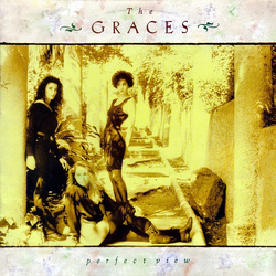 The Graces Perfect View Vinyl LP USED