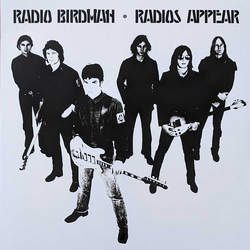 Radio Birdman Radios Appear Vinyl LP USED