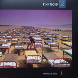 Pink Floyd A Momentary Lapse Of Reason Vinyl LP USED