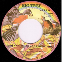 Hot The Right Feeling At The Wrong Time Vinyl 7" USED
