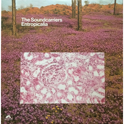 The Soundcarriers Entropicalia Vinyl LP USED