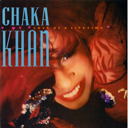 Chaka Khan Love Of A Lifetime Vinyl 7" USED