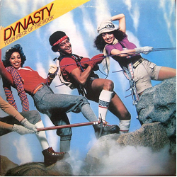 Dynasty Your Piece Of The Rock Vinyl LP USED