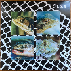 Size (4) Nadie Puede Vivir Con Un Monstruo Vinyl LP USED