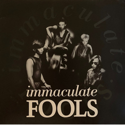 Immaculate Fools Immaculate Fools Vinyl 7" USED