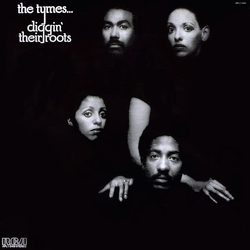 The Tymes Diggin' Their Roots Vinyl LP USED