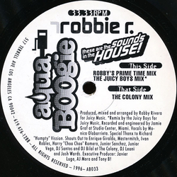 Robbie Rivera These Are The Sounds In The House! Vinyl 12" USED