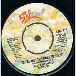 Charo / The Salsoul Orchestra You're Just The Right Size Vinyl 7" USED
