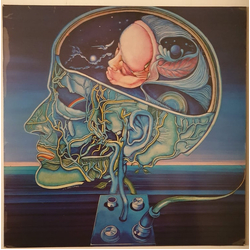 Clearlight Clear Light Symphony Vinyl LP USED