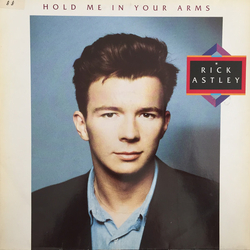 Rick Astley Hold Me In Your Arms Vinyl LP USED