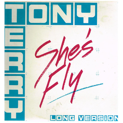 Tony Terry She's Fly Vinyl 12" USED