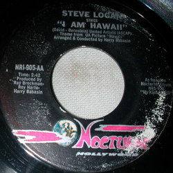 Steve Logan (3) I Am Hawaii / Failure To Communicate Vinyl 7" USED