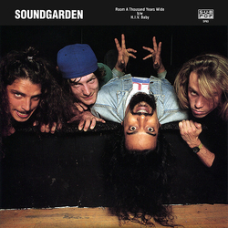 Soundgarden Room A Thousand Years Wide b/w H.I.V. Baby Vinyl 7" USED