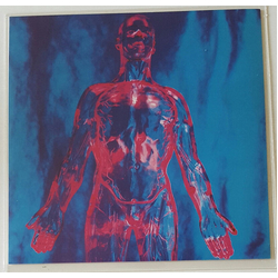 Nirvana Sliver Vinyl 7" USED