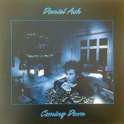 Daniel Ash Coming Down Vinyl LP USED