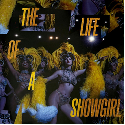 Taylor Swift The Life Of A Showgirl Vinyl LP USED