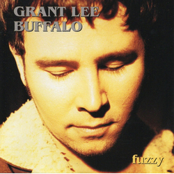 Grant Lee Buffalo Fuzzy Vinyl LP USED