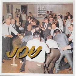 Idles Joy As An Act Of Resistance Vinyl LP USED