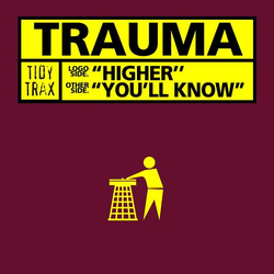 Trauma Higher / You'll Know Vinyl 12" USED