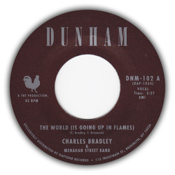Charles Bradley / Menahan Street Band The World (Is Going Up In Flames) / Heartaches & Pain Vinyl 7" USED