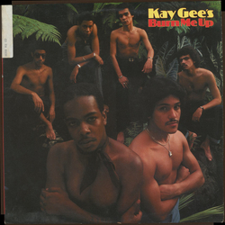 The Kay-Gees Burn Me Up Vinyl LP USED