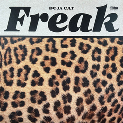 Doja Cat Freak Vinyl 12" USED
