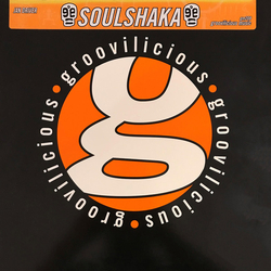 Jan Driver Soulshaka Vinyl 12" USED