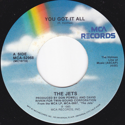 The Jets You Got It All Vinyl 7" USED