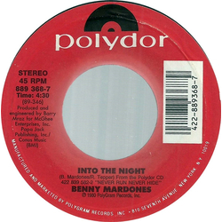 Benny Mardones Into The Night Vinyl 7" USED