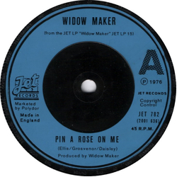 Widowmaker Pin A Rose On Me / On The Road Vinyl 7" USED