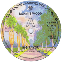 Ron Wood Big Bayou Vinyl 7" USED