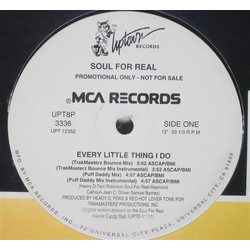 Soul For Real Every Little Thing I Do Vinyl 12" USED