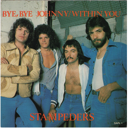 The Stampeders Bye, Bye Johnny / Within You Vinyl 7" USED
