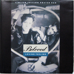 The Beloved Loving Feeling Vinyl 7" USED