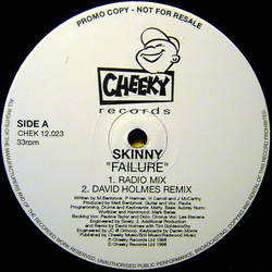 Skinny Failure Vinyl 12" USED