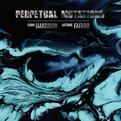 Gavin Harrison / Antoine Fafard Perpetual Mutations Vinyl LP USED