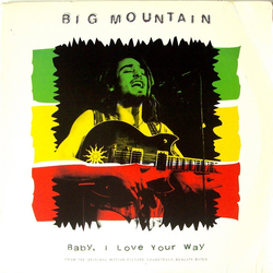 Big Mountain Baby, I Love Your Way Vinyl 12" USED