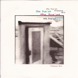 The Posies Definite Door Vinyl 7" USED