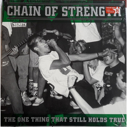 Chain Of Strength The One Thing That Still Holds True Vinyl LP USED